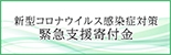 新型コロナウイルス感染症対策　緊急支援寄付金